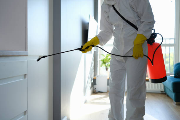 Best Certified Mold Removal  in Spiro, OK