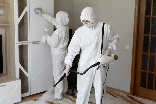 Best Toxic Mold Removal  in Spiro, OK