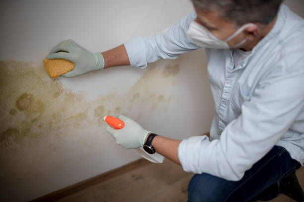 Water Damage Restoration in Spiro, OK