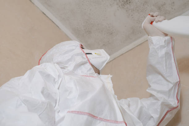 Best Mold Testing  in Spiro, OK