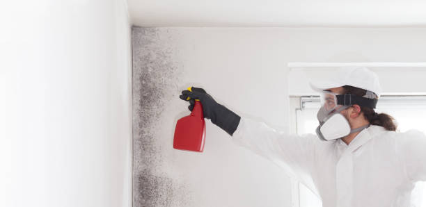 Best Professional Mold Removal  in Spiro, OK