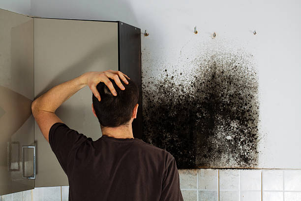  Spiro, OK Mold Removal Pros